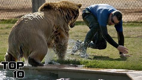 Aroused man destroys dogs tight pussy in insane zoo closeups